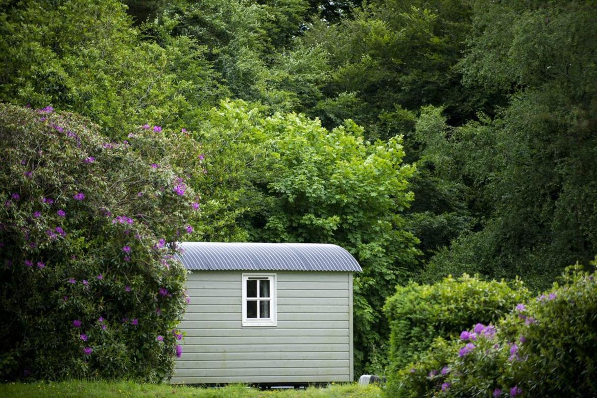 Killedmond Blackstairs Shepherds Huts מראה חיצוני תמונה